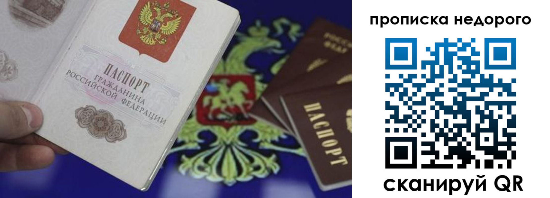 прописка регистрация в Брянске